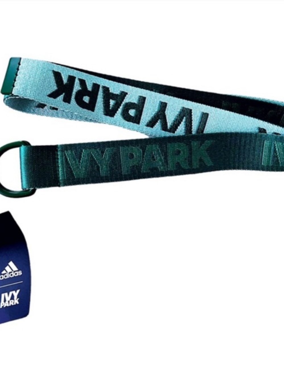 IVY PARK Teal & Aqua Webbing Belt
